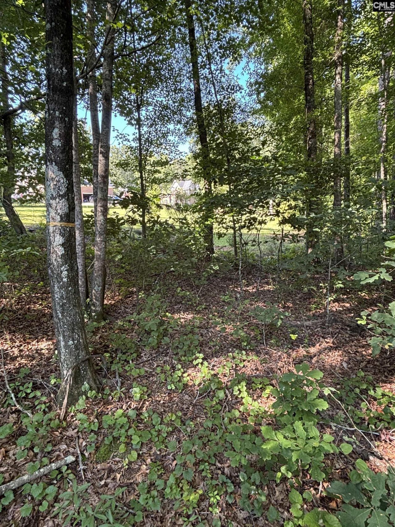 320 Oakhurst Place Photo 9