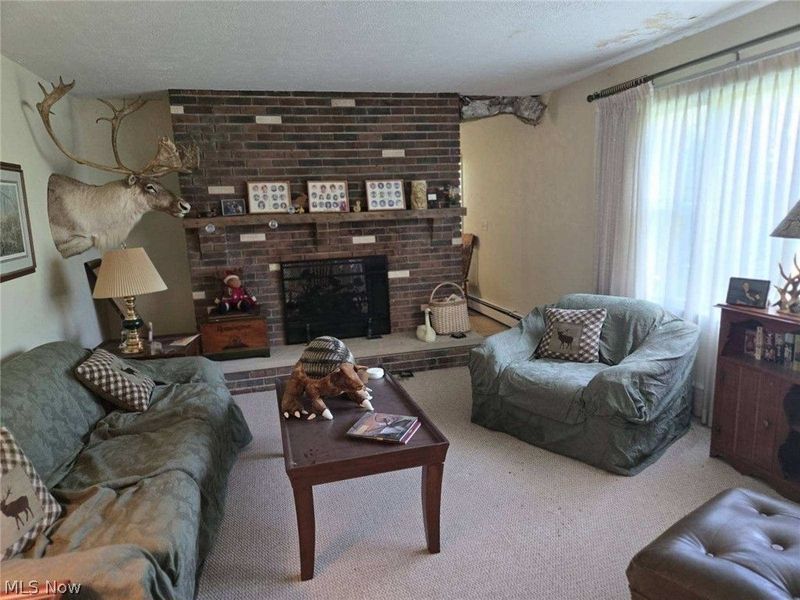 11785 Pyle South Amherst Road, Oberlin, OH 44074 Photo 3