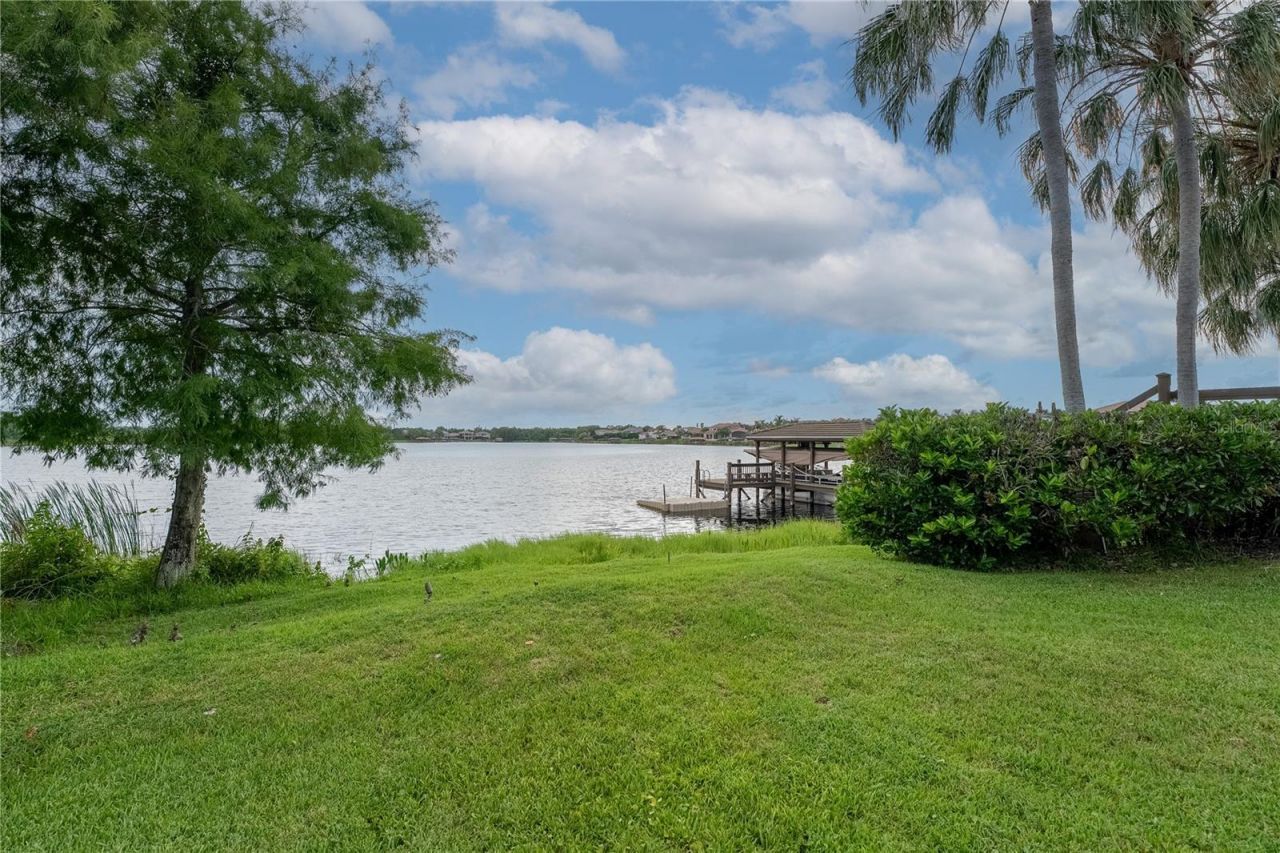 1408 Lake Whitney Drive, Windermere, FL 34786 Photo