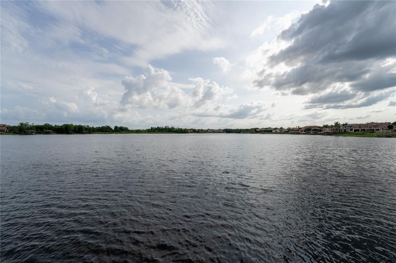 1408 Lake Whitney Drive, Windermere, FL 34786 Photo