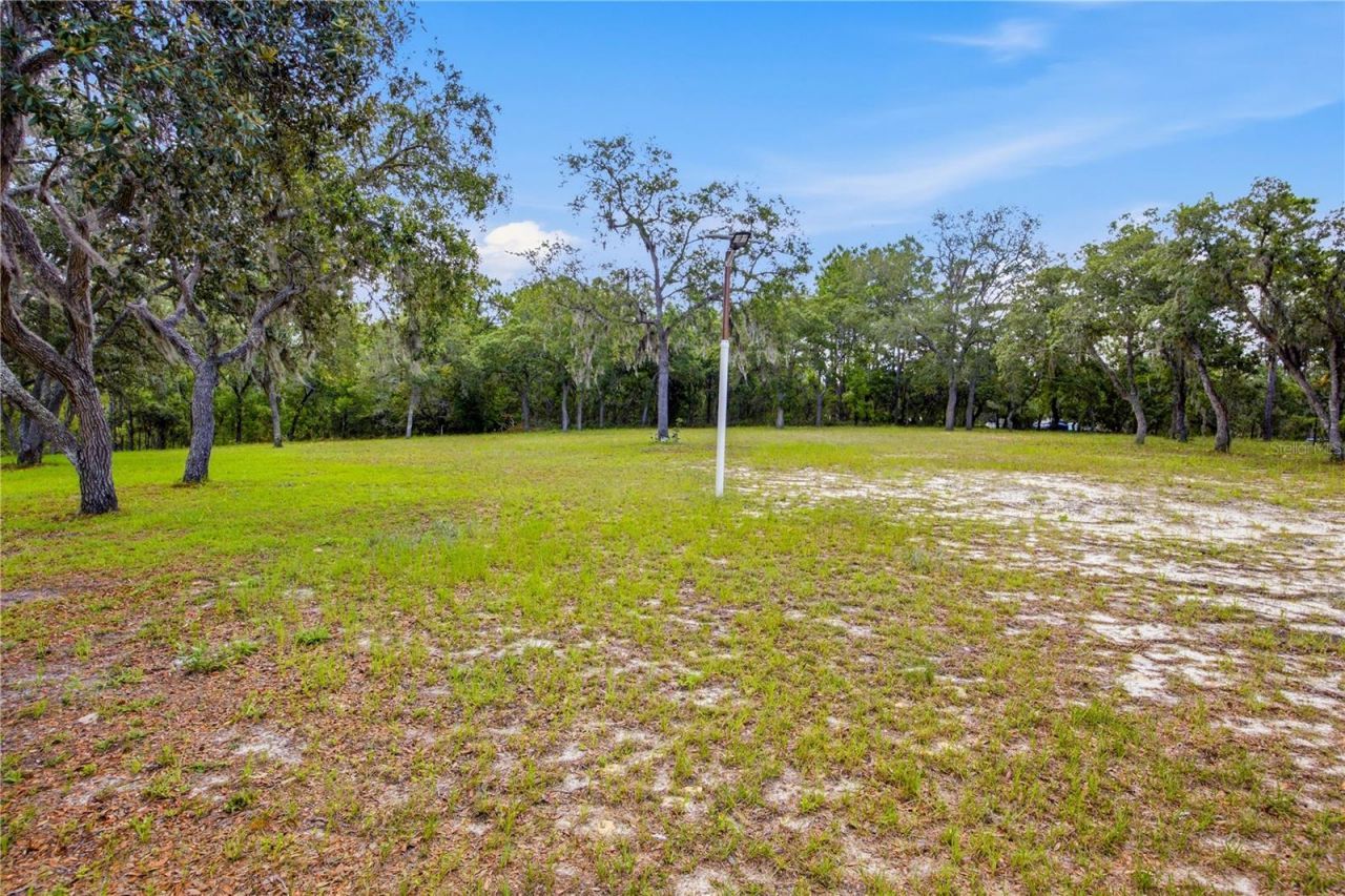 6175 S Canna Lily Avenue , Homosassa, FL 34446 Photo