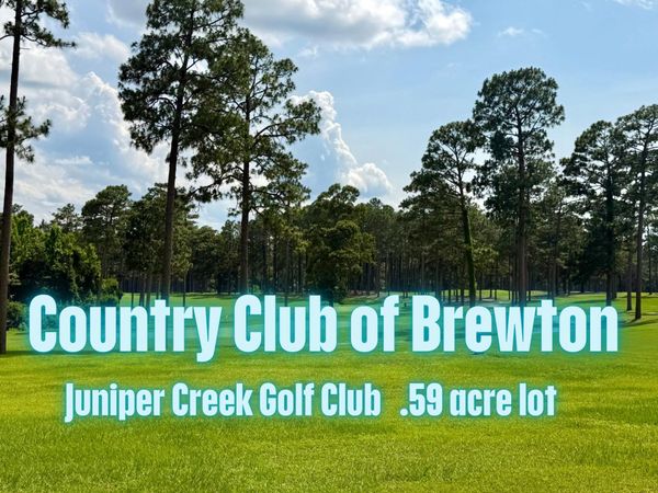 41 Juniper Creek Drive, Other, AL 00000