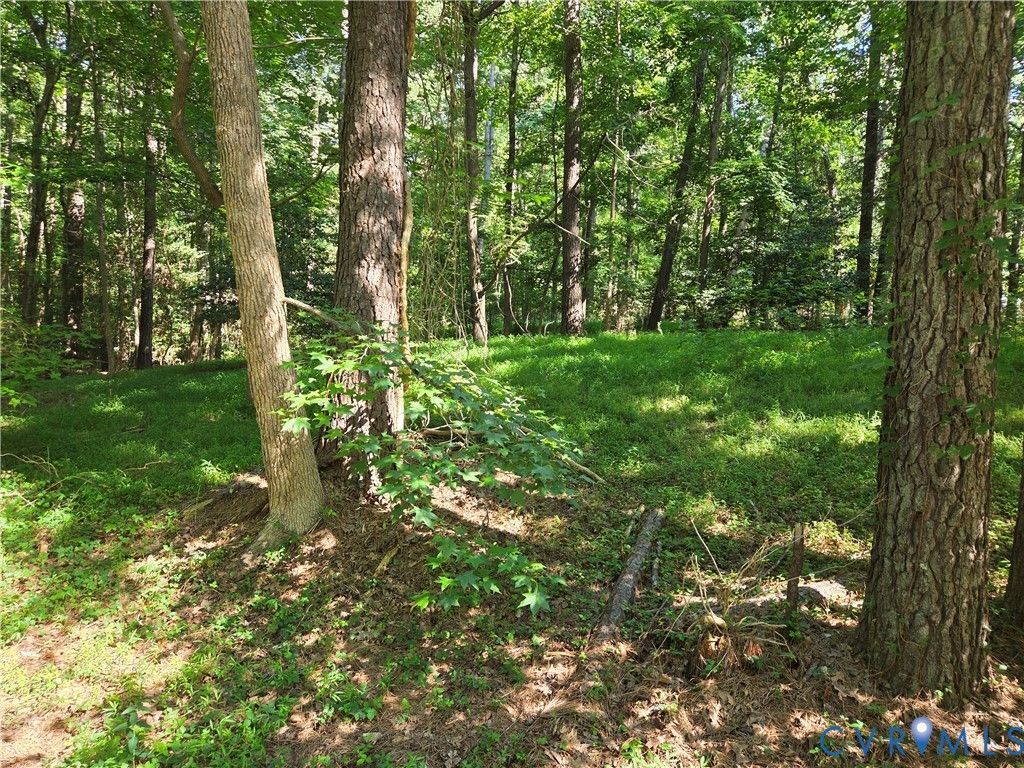 12731 Donegal Drive, Chesterfield, VA 23832 Main Photo