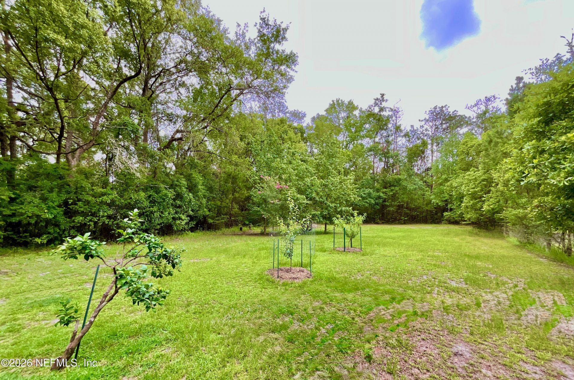 20517 NE 114th Avenue, Waldo, FL 32694 Photo