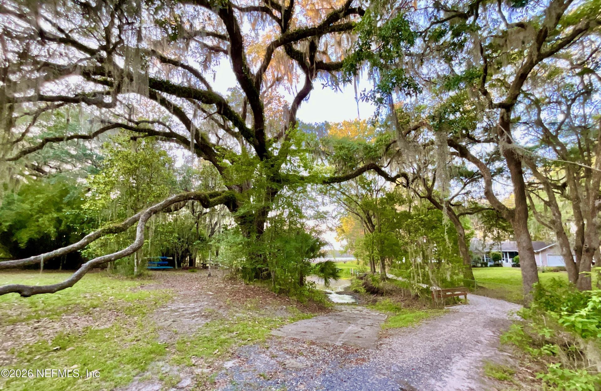 20517 NE 114th Avenue, Waldo, FL 32694 Photo