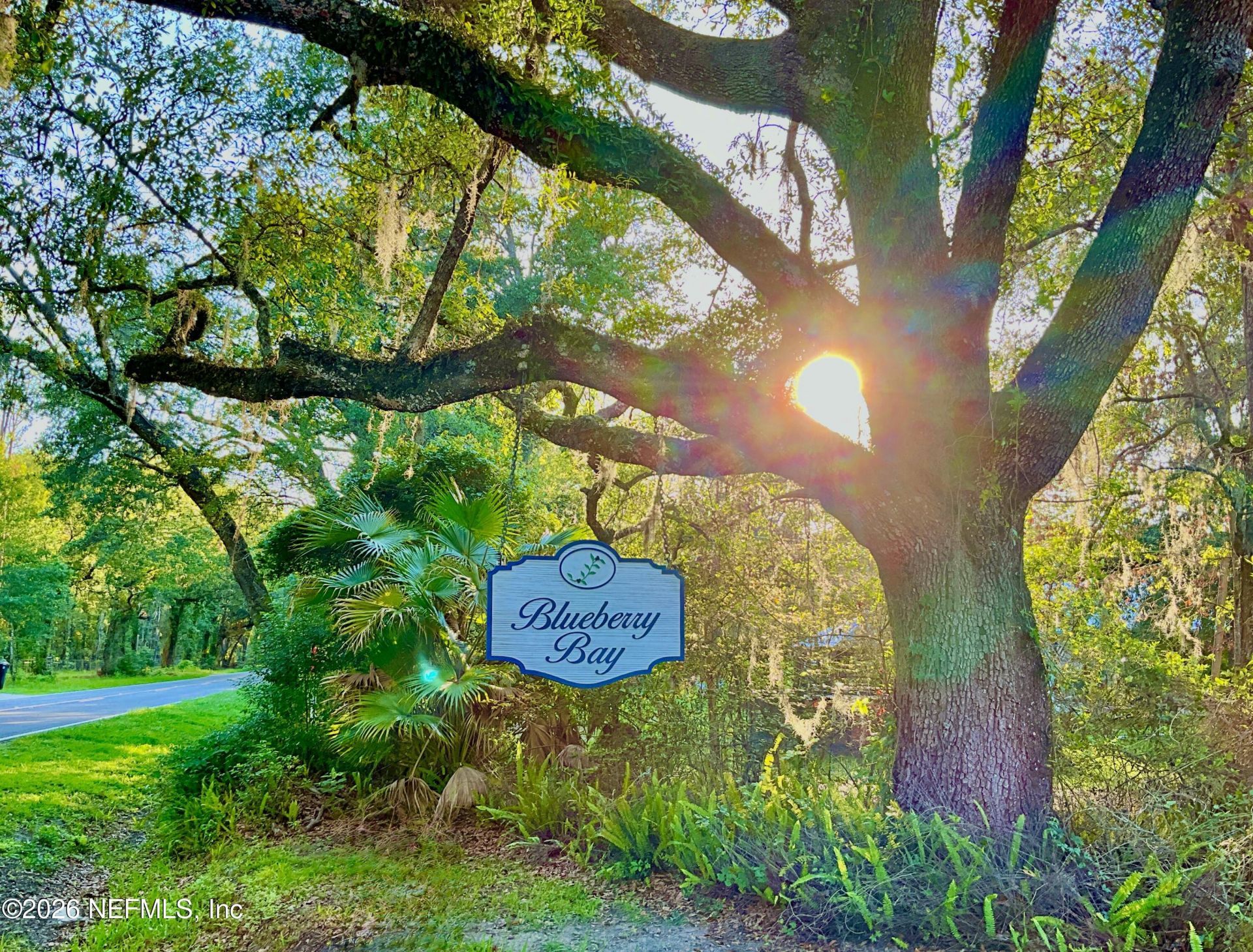 20517 NE 114th Avenue, Waldo, FL 32694 Photo