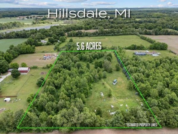 6691 W Hallett Road, Hillsdale, MI 49242