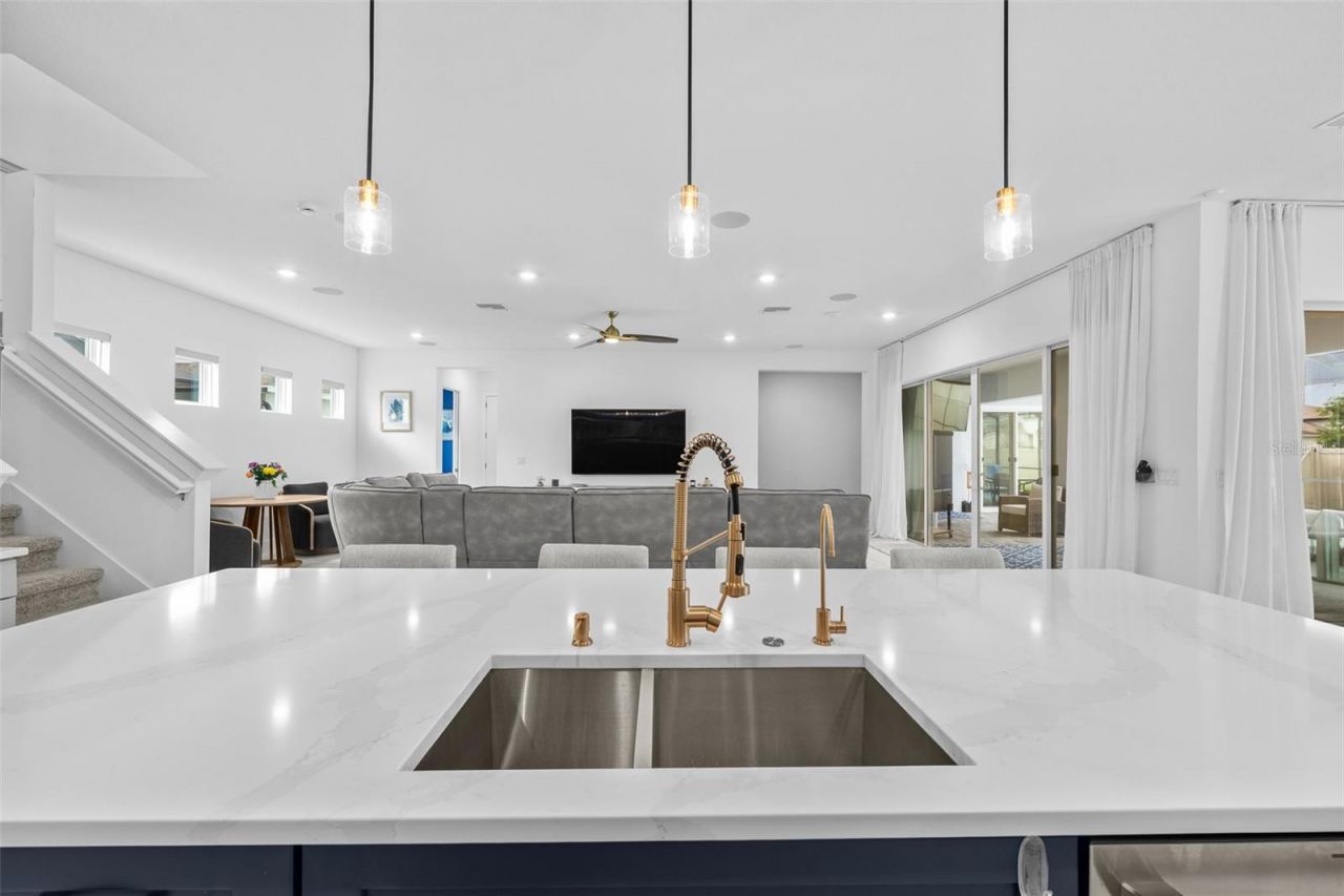8776 Ivy Stark Boulevard, Wesley Chapel, FL 33545 Photo