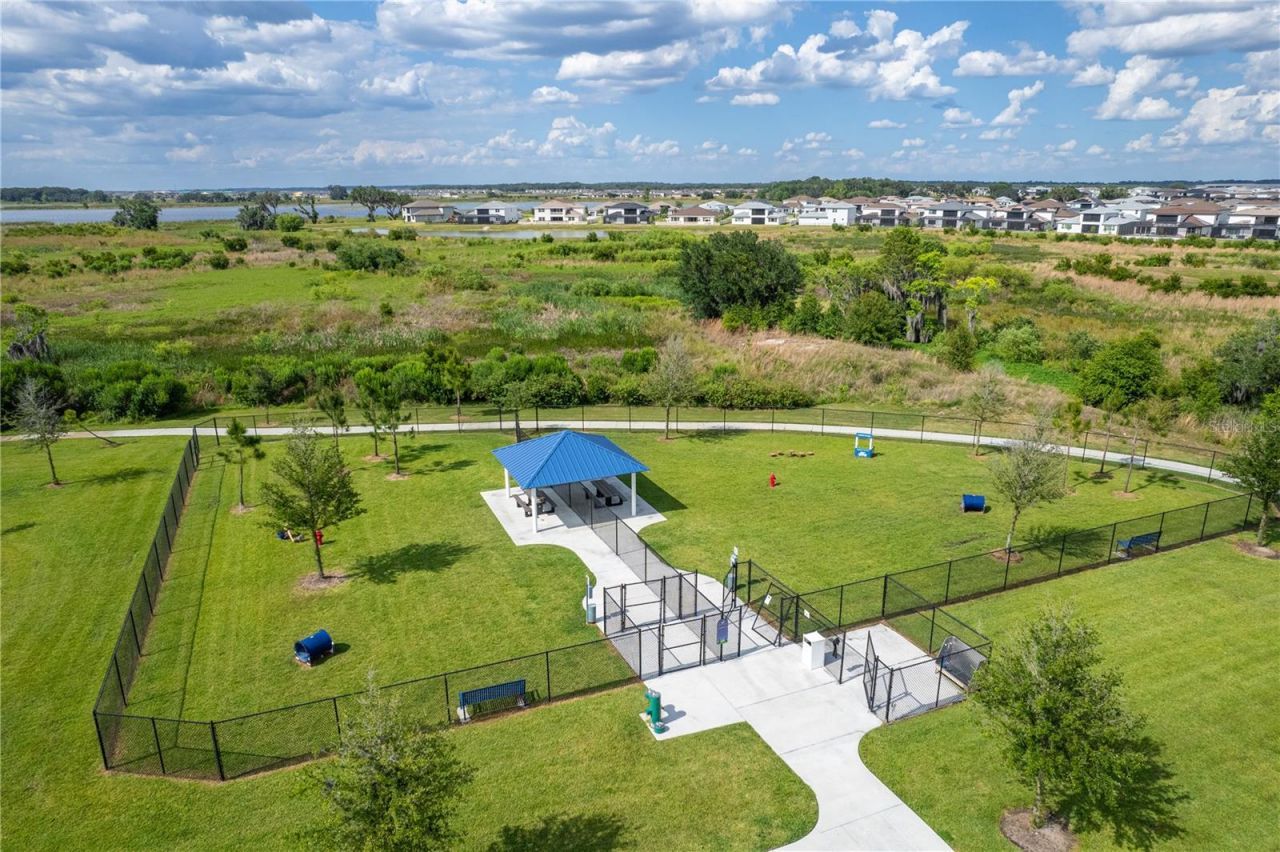 8776 Ivy Stark Boulevard, Wesley Chapel, FL 33545 Photo