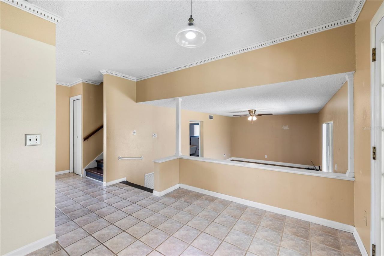 3608 Casaba Loop, Valrico, FL 33596 Photo