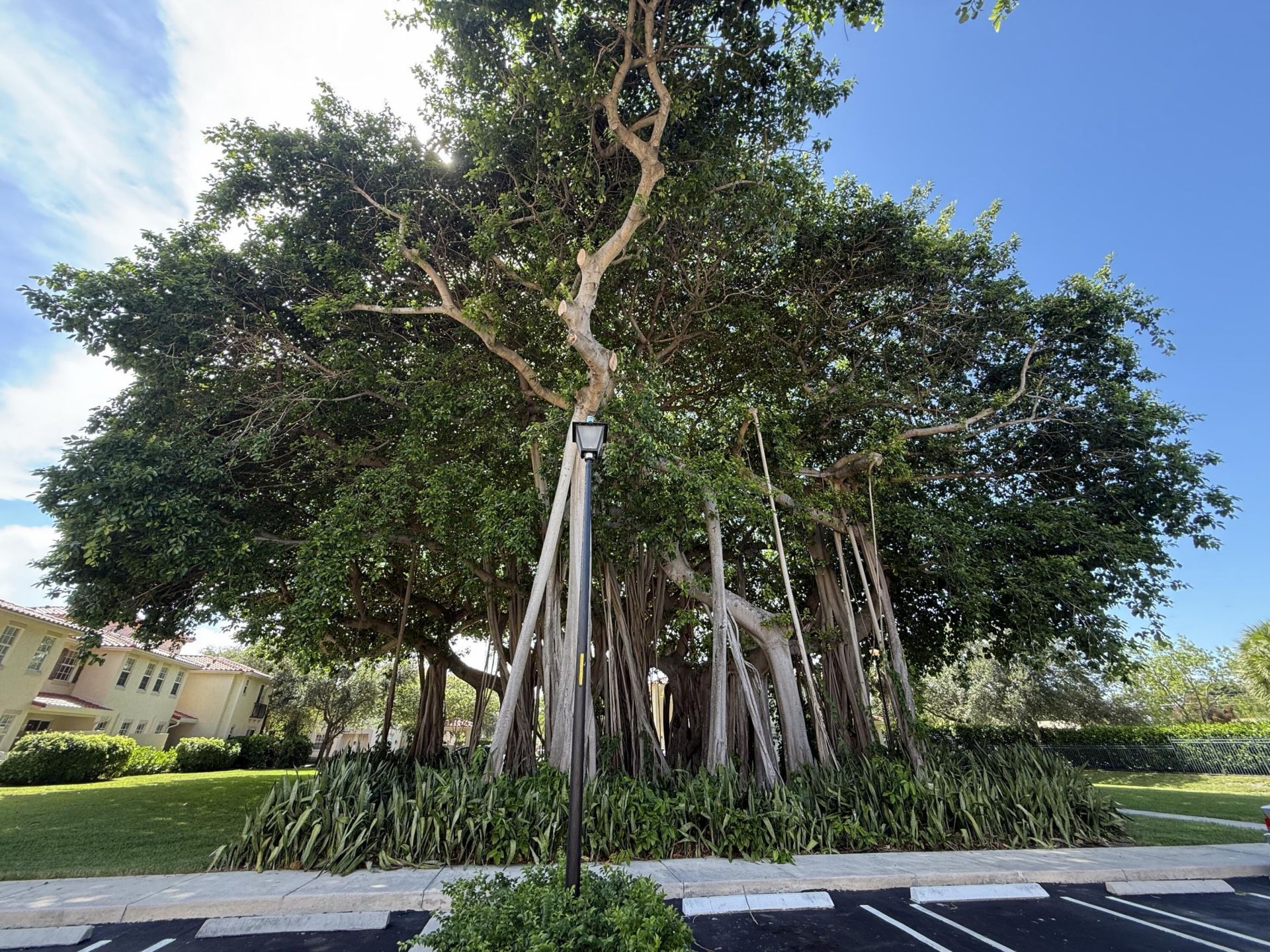 1015 Ventnor Avenue, Unit 3a, Delray Beach, FL 33444 Photo