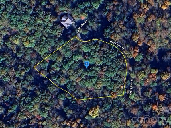243 Cross Vine Drive , Tuckasegee, NC 28783