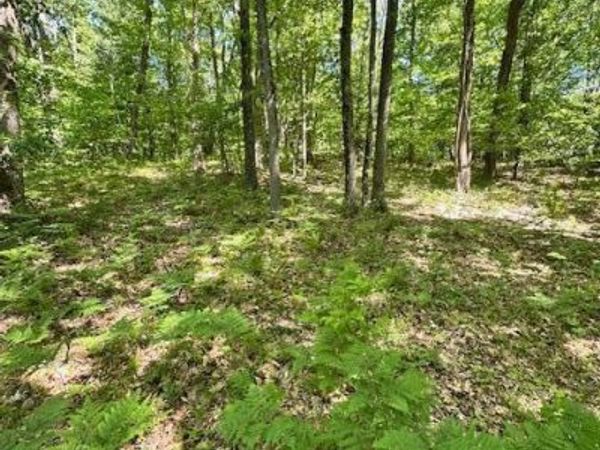 15 Mile Road, Big Rapids, MI 49307