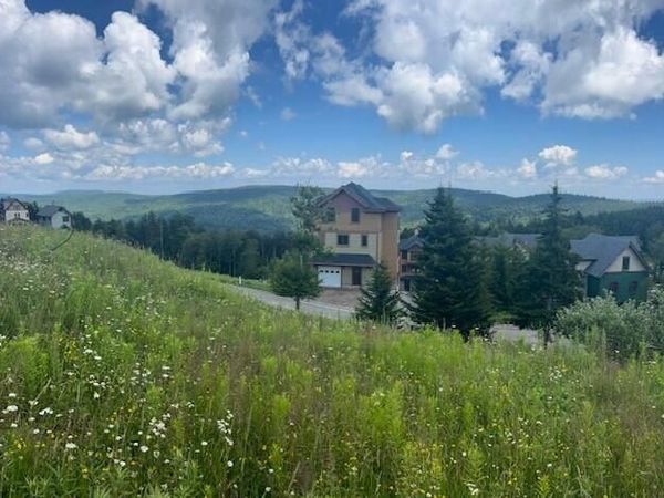 52 Highlands Drive, Snowshoe, WV 26209