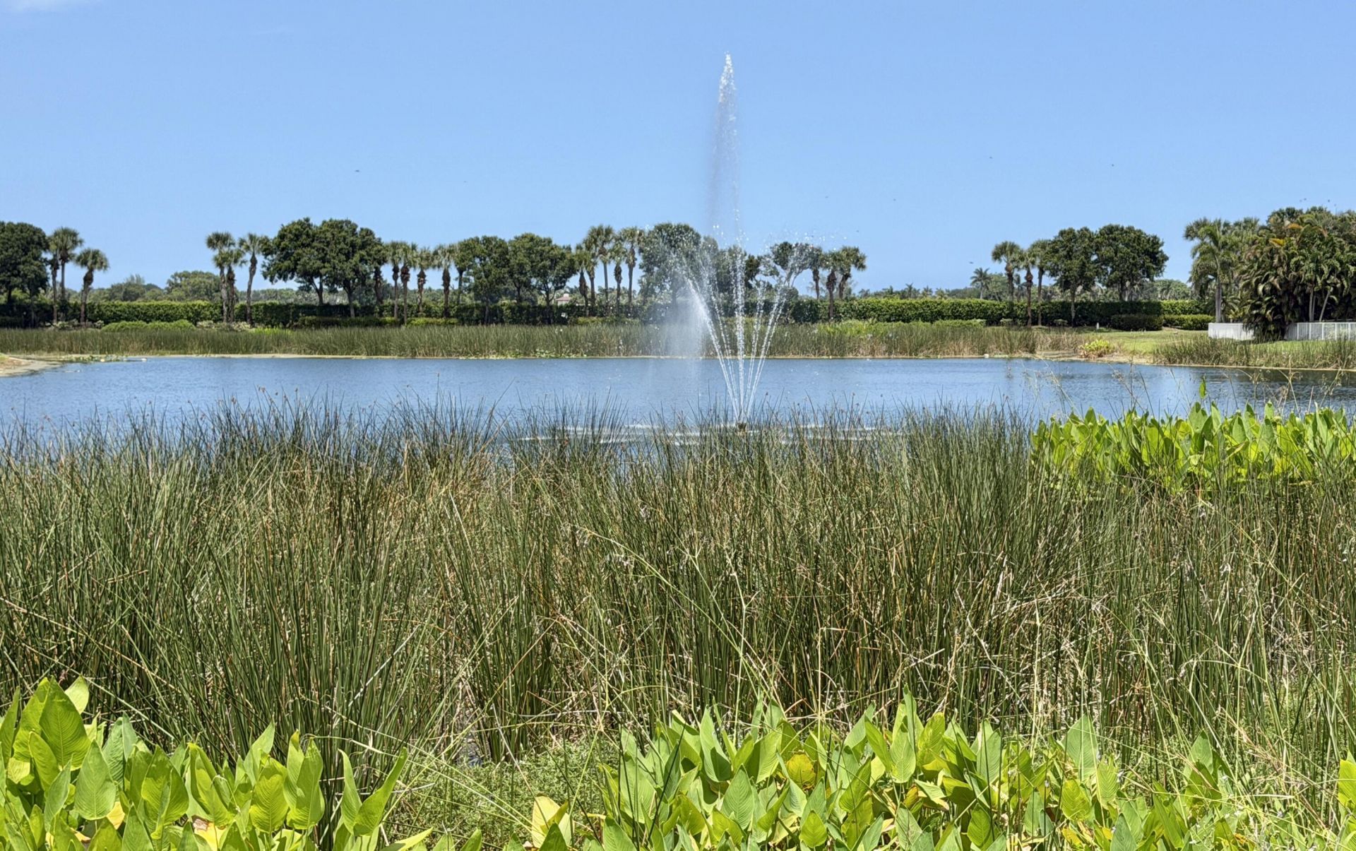 8890 Cobblestone Point Circle, Boynton Beach, FL 33472 Photo