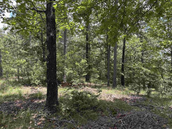 Vista View Pl , Hot Springs, AR 71901