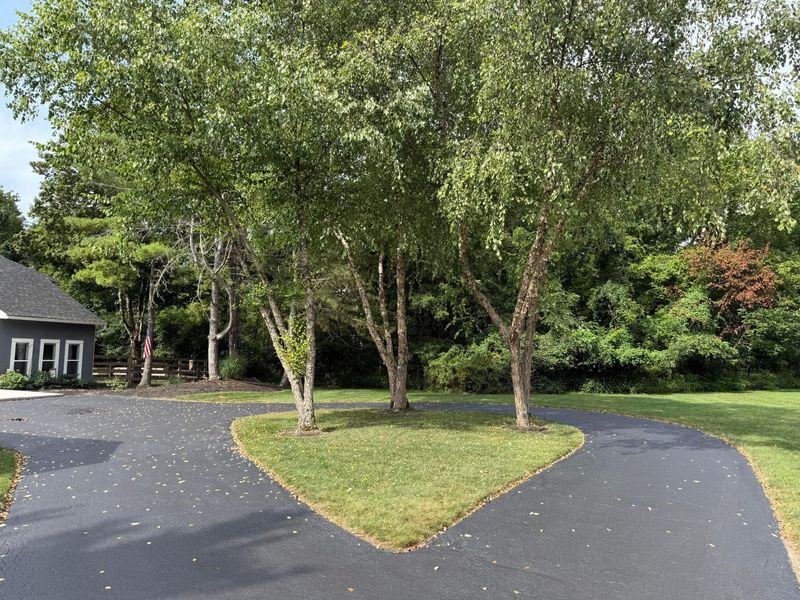 7140 Cook Road, Powell, OH 43065 Photo 4