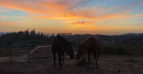 6165 Starlight Ln, Mountain Ranch, CA 95246 Photo