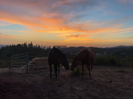 6165 Starlight Ln, Mountain Ranch, CA 95246 Photo