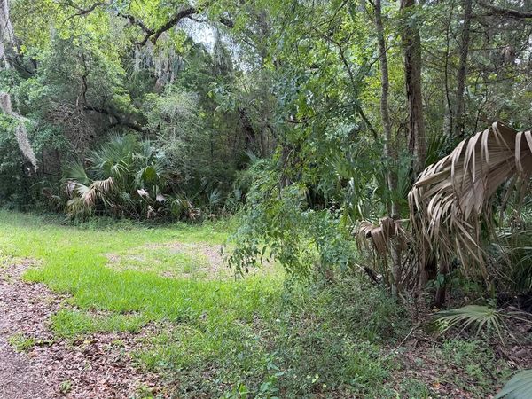 SW Palm Point Dr, Inglis, FL 34431