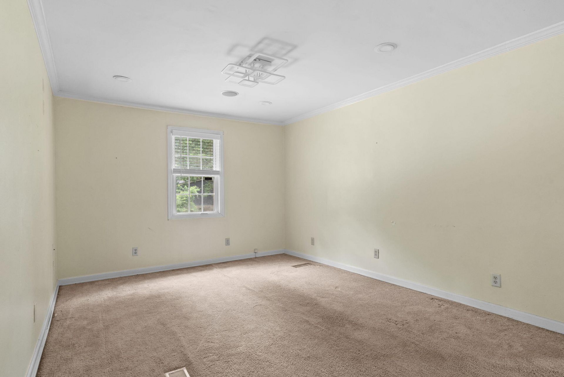 224 Rodenberry Road Photo 7