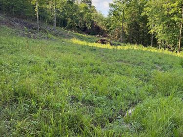 110 Dean Road, Unit Tract 1, McKee, KY 40447