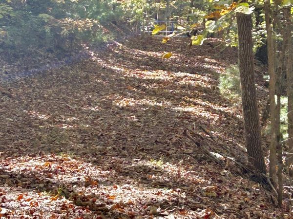 Lot 1,2 Royal Oaks Trail , Brasstown, NC 28902