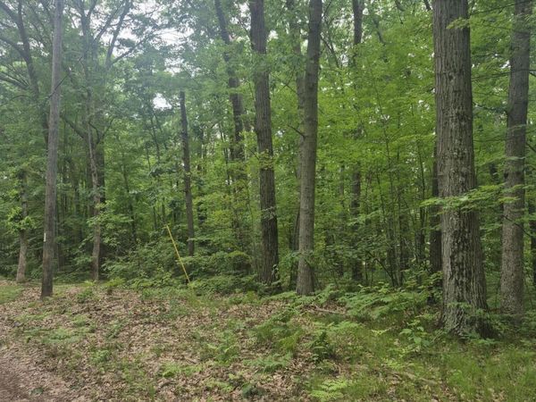 6622 E Spruce Road, Fountain, MI 49410