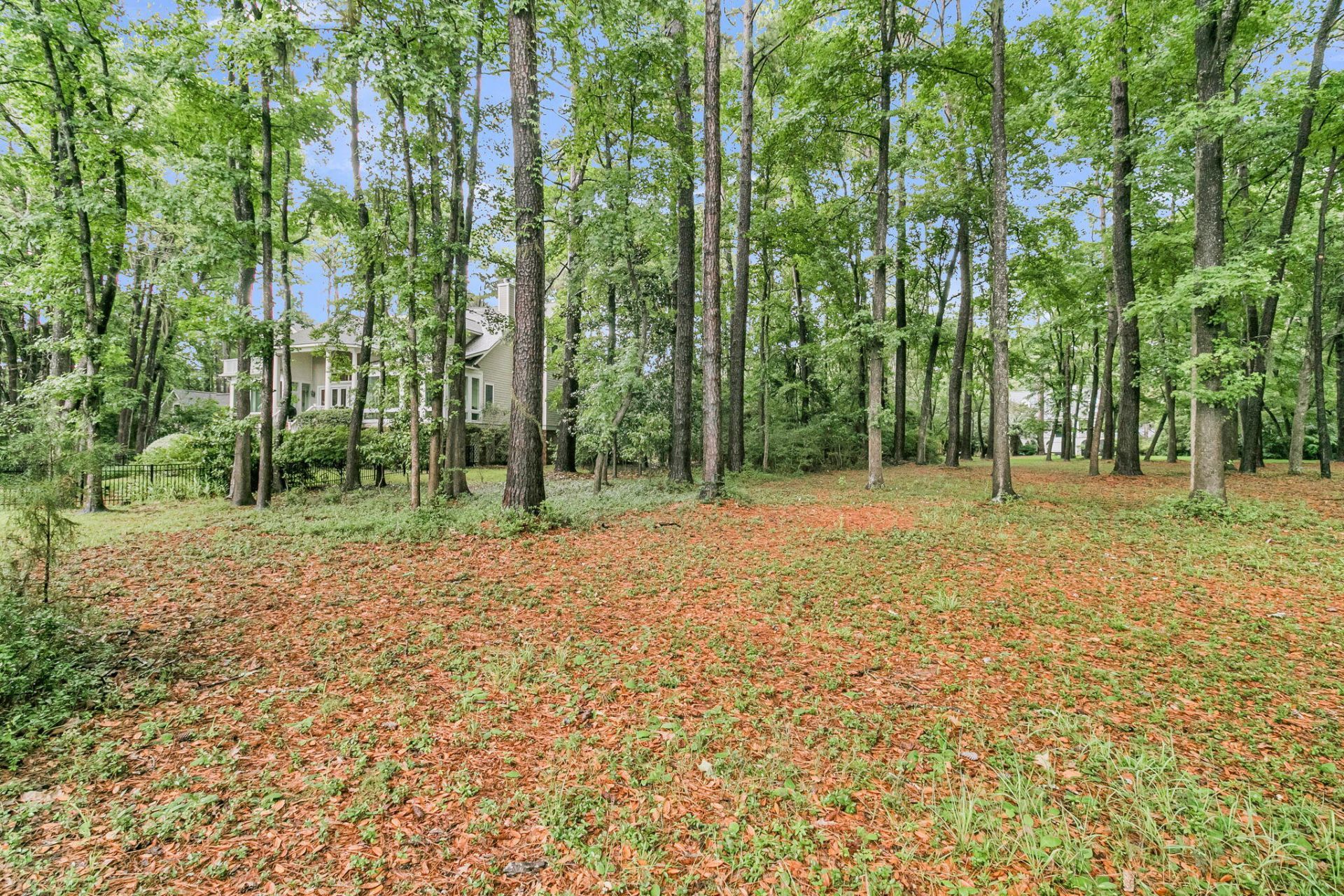 4923 Steeplechase Lane Photo 76