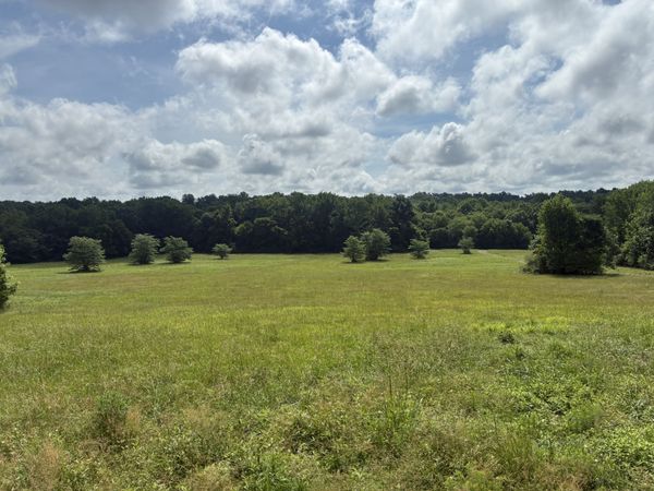 8033 Roberson Cemetery Rd, Iron City, TN 38463