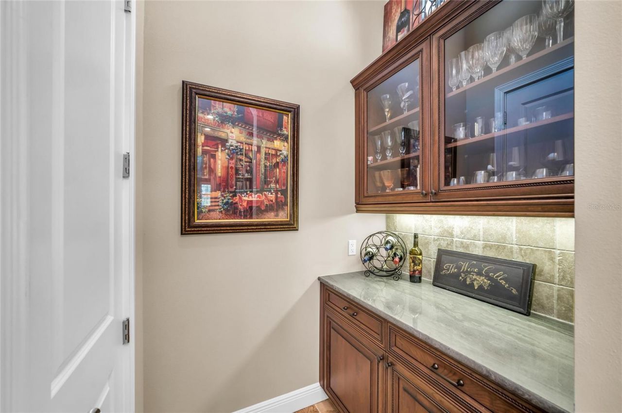 14717 Leopard Creek Place, Lakewood Ranch, FL 34202 Photo