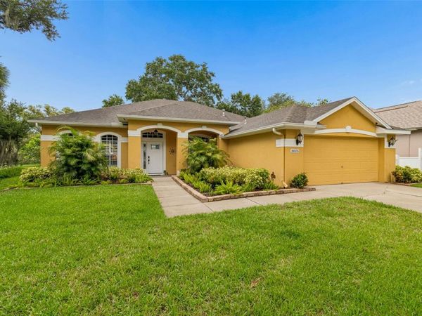 10035 REMINGTON DRIVE, RIVERVIEW, FL 33578