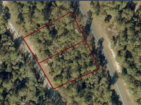 8002-0009-06 & 07 ALLEY ROAD, OCALA, FL 34473