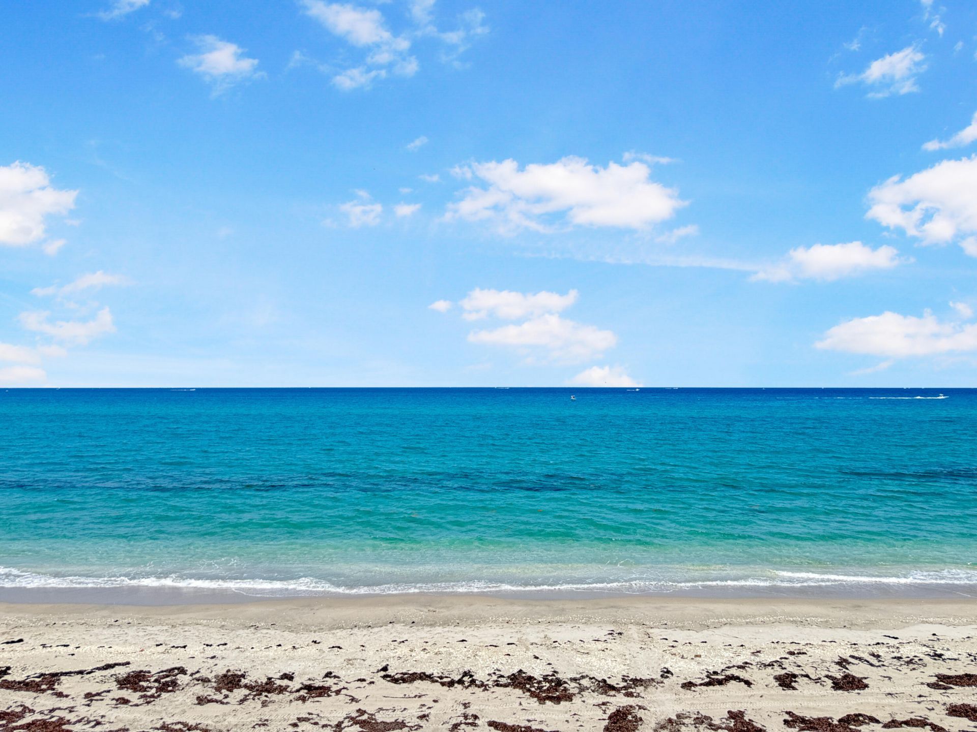 5080 N Ocean Drive, Unit 20c, Singer Island, FL 33404 Photo