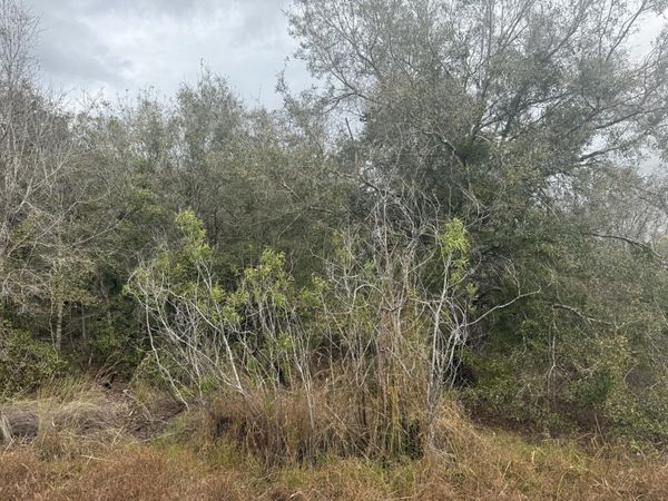 17667 NW 254th Street, Okeechobee, FL 34972