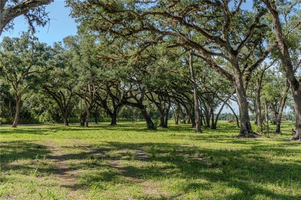 5247 County Rd 78 , Labelle, FL 33935 Photo