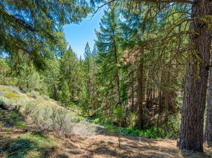 2170 Mourning Dove Lane, Clio, CA 96106 Photo