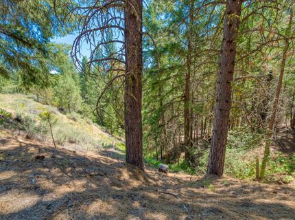 2170 Mourning Dove Lane, Clio, CA 96106 Photo
