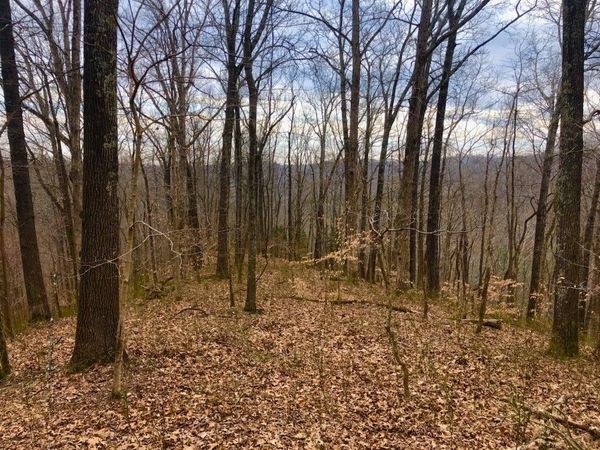 0 Simpkins Rd , Whites Creek, TN 37189