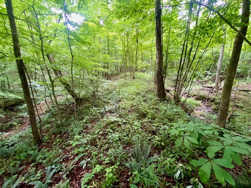 400 Lynn Morgan Road, Seaman, OH 45679 Photo 17