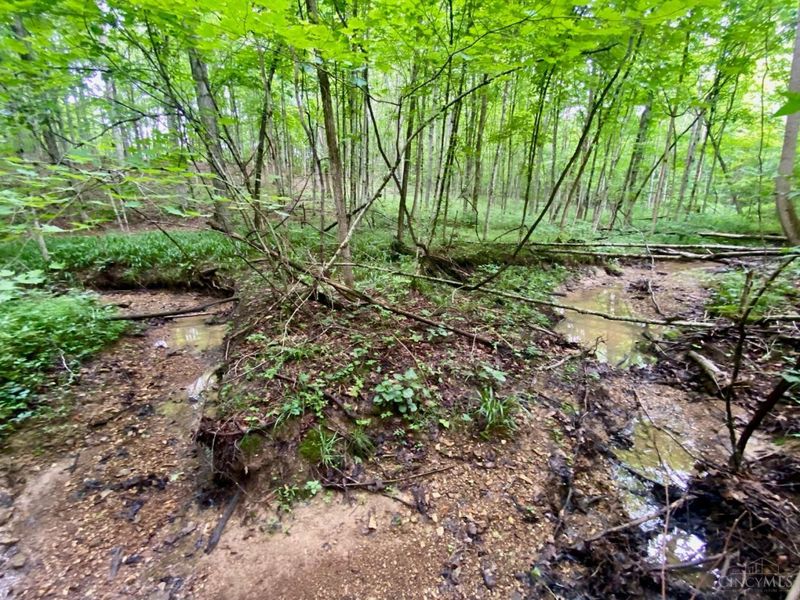 400 Lynn Morgan Road, Seaman, OH 45679 Photo 19