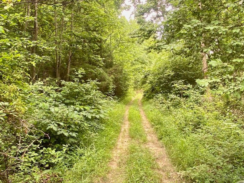 400 Lynn Morgan Road, Seaman, OH 45679 Photo 8