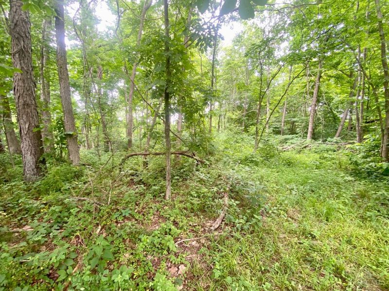 400 Lynn Morgan Road, Seaman, OH 45679 Photo 9
