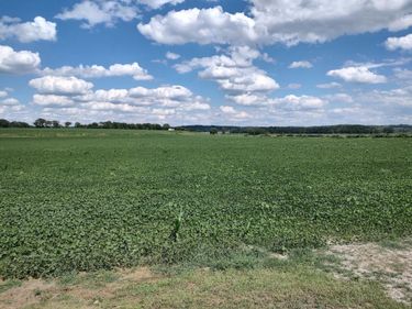 1775 138TH Trail, LITTLE SIOUX, IA 51545