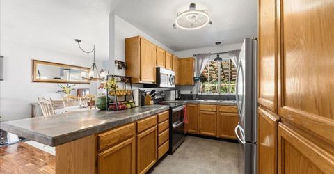 240 Puma Drive, Washoe Valley, NV 89704 Photo
