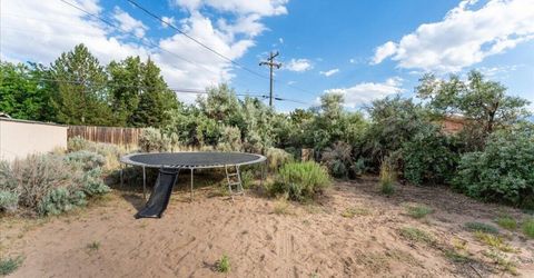 240 Puma Drive, Washoe Valley, NV 89704 Photo