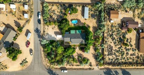 240 Puma Drive, Washoe Valley, NV 89704 Photo