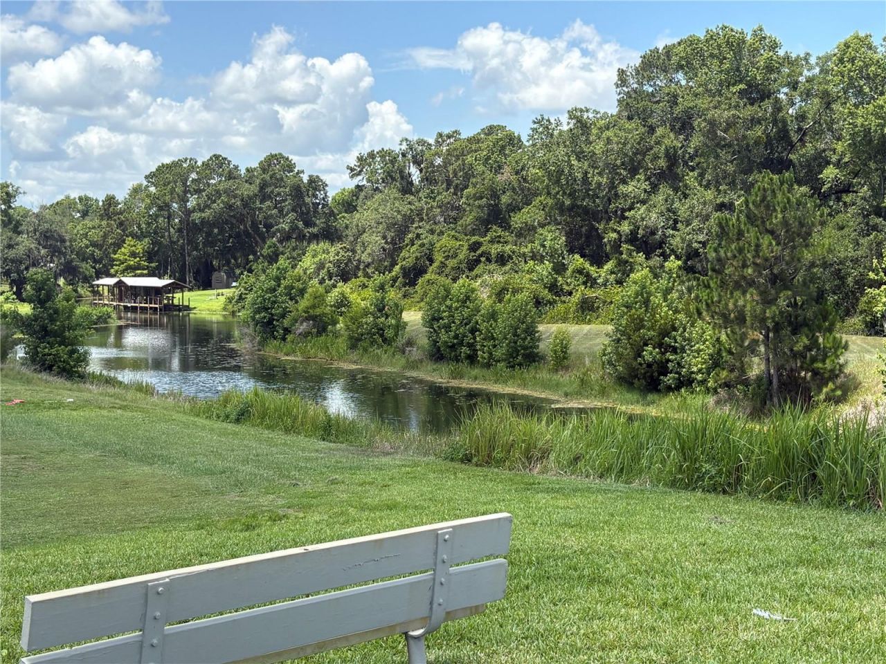 137 Jacaranda Drive , Leesburg, FL 34748 Photo