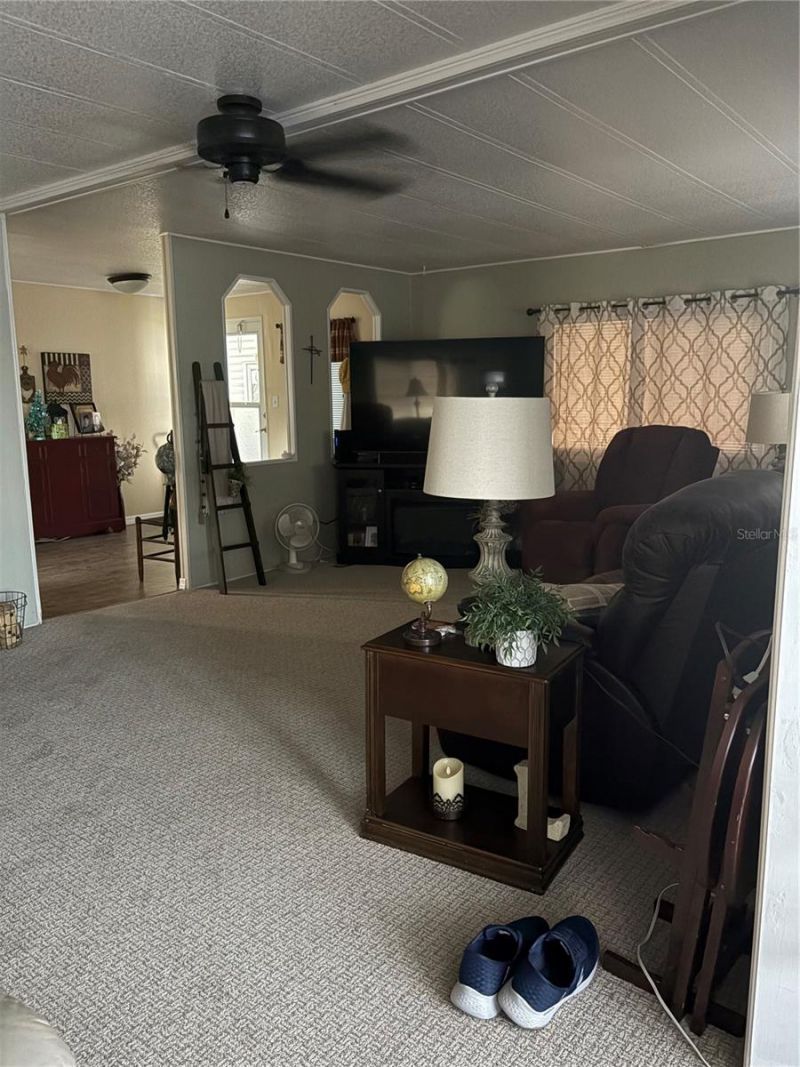 137 Jacaranda Drive , Leesburg, FL 34748 Photo