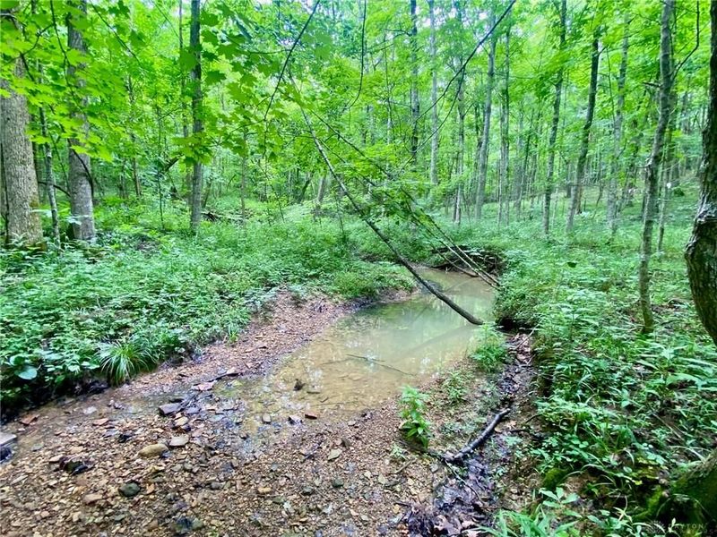 400 Lynn Morgan Road, Seaman, OH 45679 Photo 18